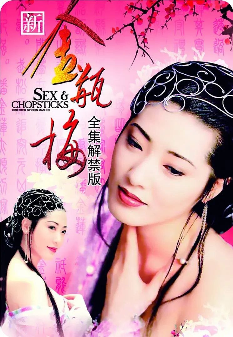 新金瓶梅电视剧免费观看全集1-5动画片-在线观看